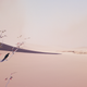 Illustration for article titled New Indie Vane Looks Great, But Isn't